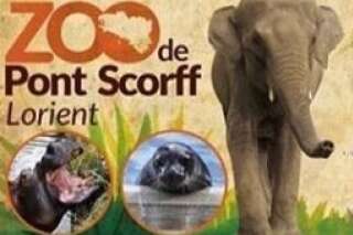 Bretagne: la collecte pour acheter un zoo et libérer les animaux a récolté 650.000 euros