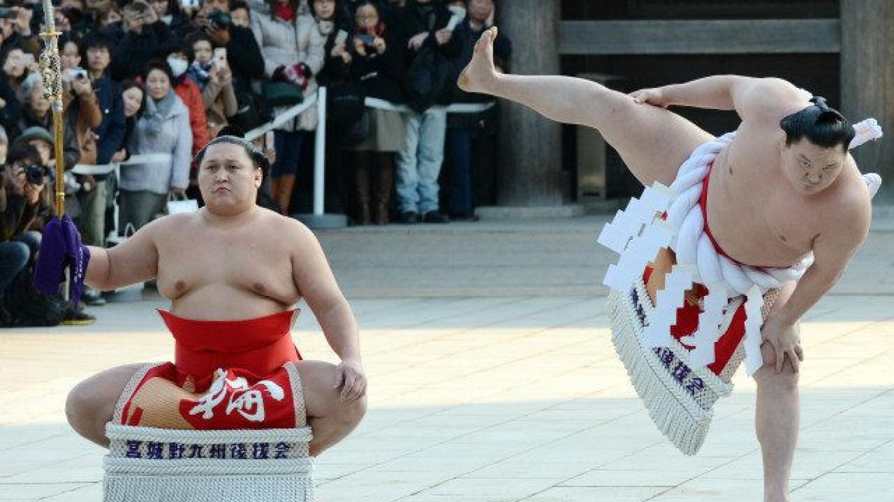 Costume de sumo, quelques conseils sur son achat