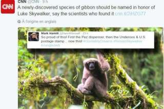 Mark Hamill est le premier fan de cette nouvelle espèce de singe 