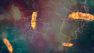 Illustration 3D de la bactérie responsable du botulisme <i>Clostridium botulinum.</i>