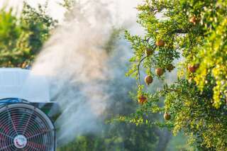L'interdiction des pesticides décidées dans cinq villes de gauche