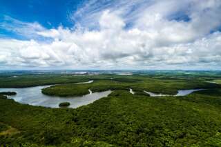 Le Brésil livre quatre millions d'hectares de forêt amazonienne à l'exploitation minière