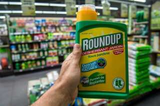 Près de la moitié des enseignes ne respectent pas la loi sur la vente des pesticides en libre-service