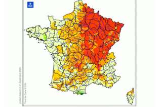 Sécheresse: L'été 2020, le plus sec depuis le début des mesures de Météo France