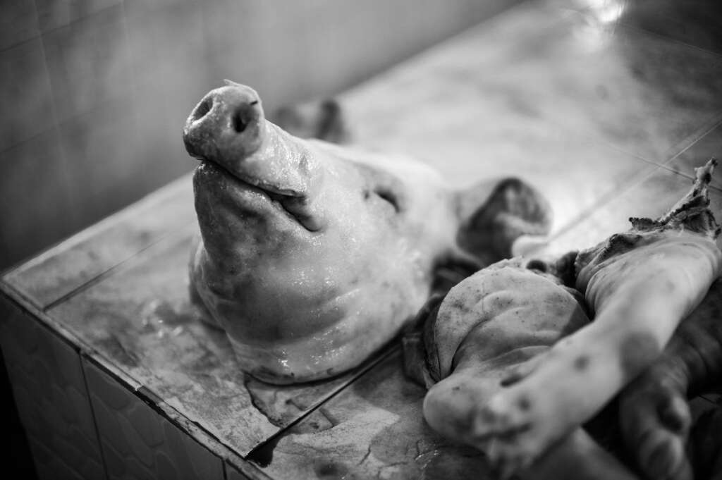 Pour le bien être animal - Manger moins de viande provenant d'élevages industriels (99% de l'offre aujourd'hui) et privilégier les petits producteurs, les producteurs bio et les circuits courts, c'est aussi oeuvrer pour le bien être animal dont les conditions d'élevages constituent l'un des principaux motifs de décision des végétariens.