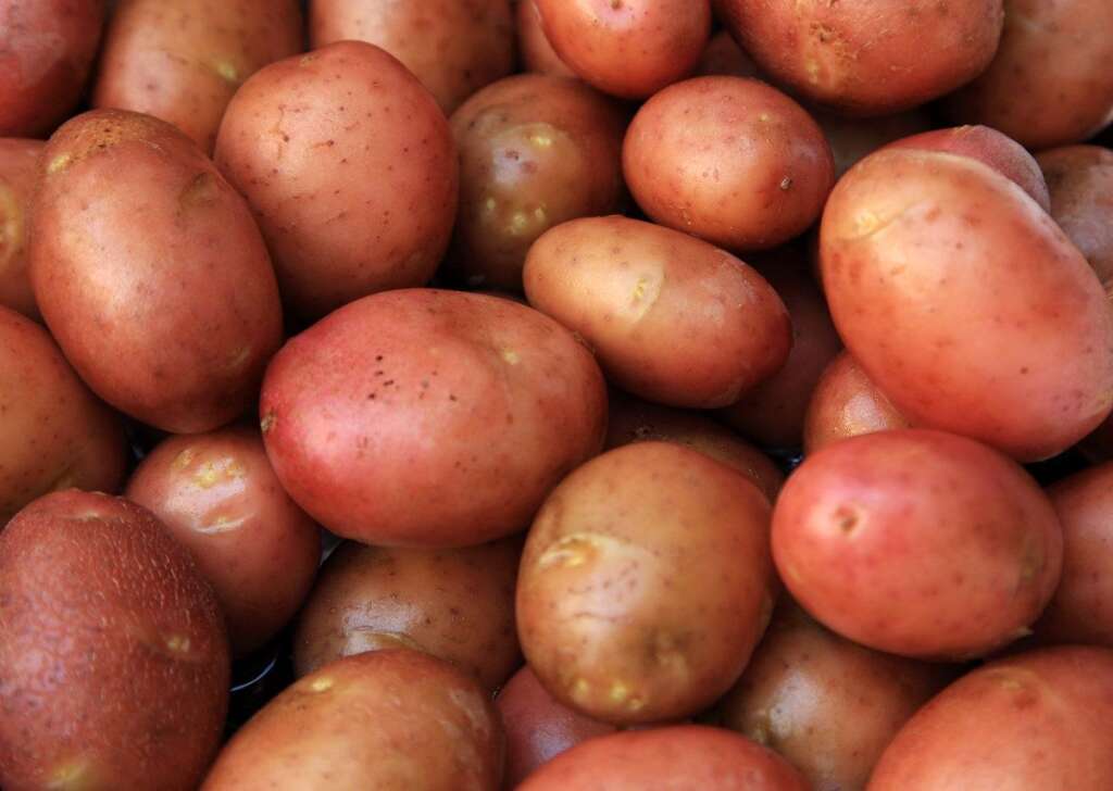 La patate chaude - Selon Jo Robinson, cuire ses pommes de terre la veille de leur consommation permettrait de réduire leur glycémie.