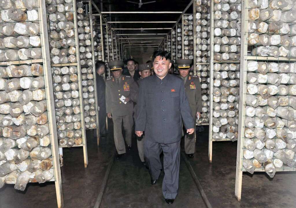 Kim Jong-Un ravi de visiter une ferme à champignons -