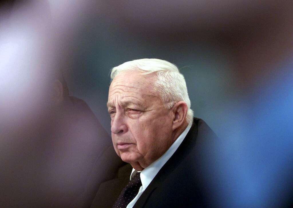 11 janvier - Ariel Sharon - L'ancien chef de guerre et Premier ministre israélien <a href="http://www.huffingtonpost.fr/2014/01/11/ariel-sharon-mort-israel_n_4550543.html" target="_blank">est décédé</a> après huit ans de coma.