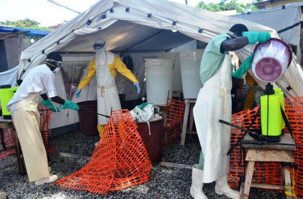 Guinée - L'épidémie, la plus grave depuis l'identification du virus en 1976, est partie de Guinée fin décembre 2013.