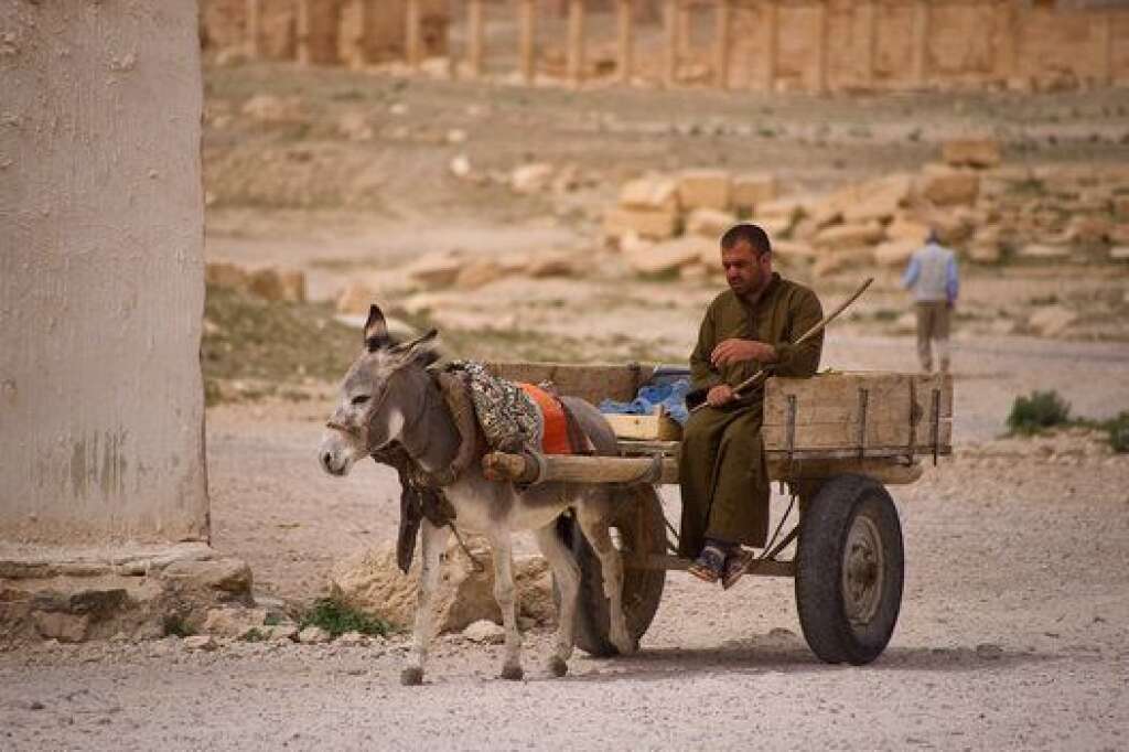 Palmyra - Palmyra, Syria.