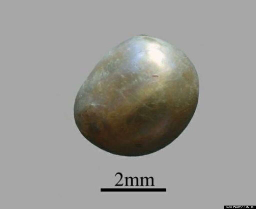 La plus vieille perle du monde ? - Des chercheurs français ont trouvé ce qu'ils pensent être la plus vieille perle dans l'histoire de l'Homme. Appelée "Umm al Quwain", elle a été découverte dans une tombe aux Émirats Arabes Unis et serait vieille de 7.500 ans.
