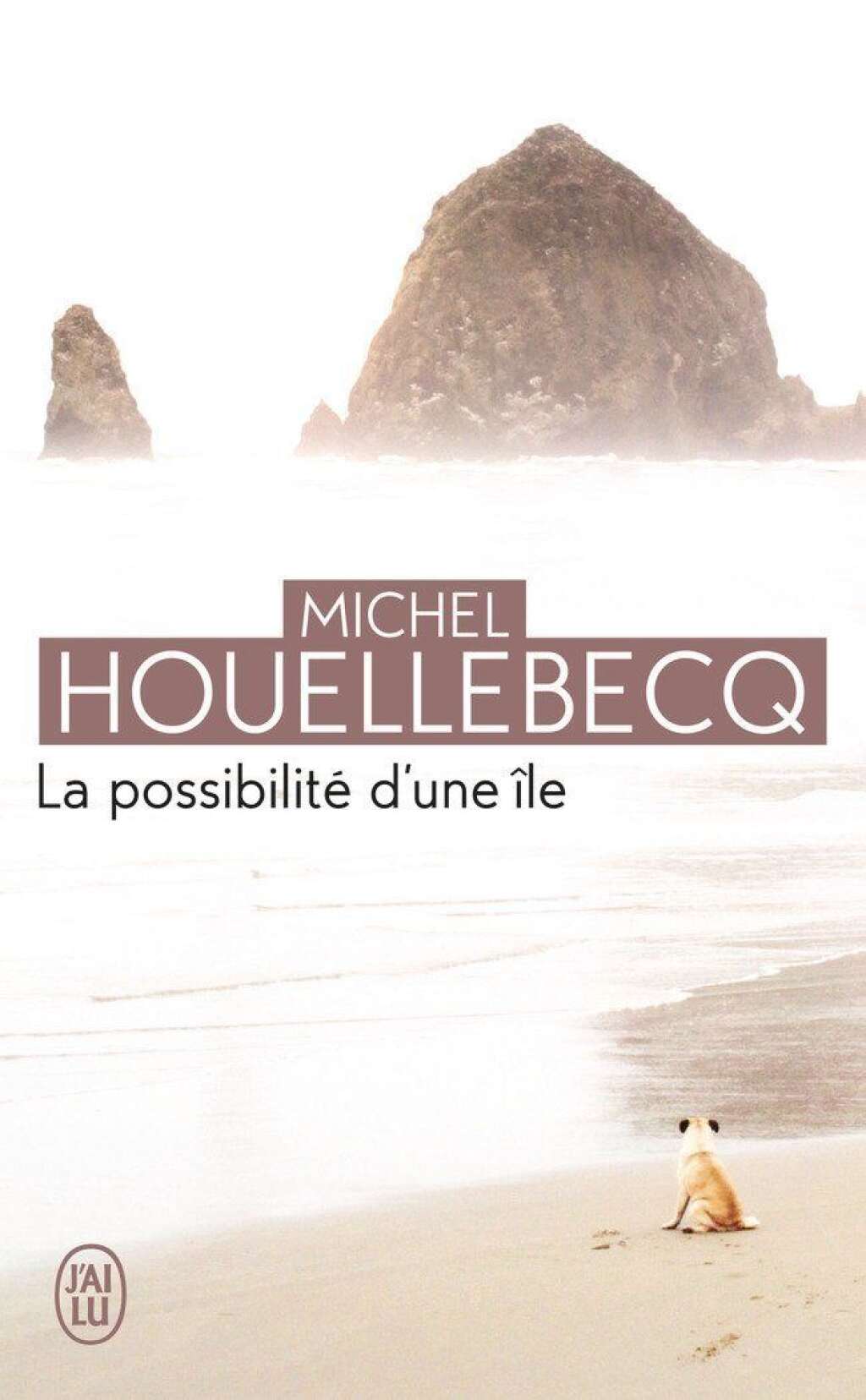 Réponse: "La Possibilité d'une île" (2005) de Michel Houellebecq