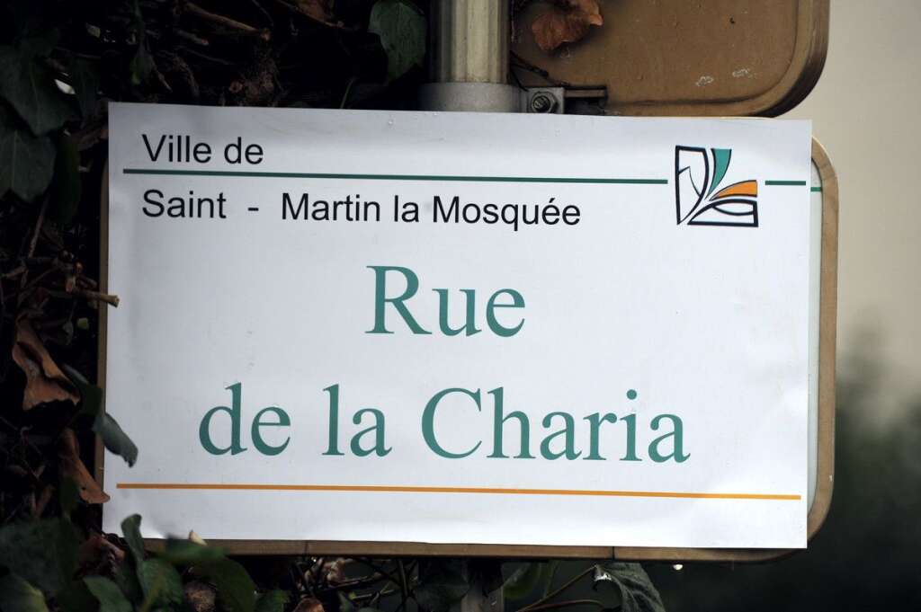 Des actions radicales... - Contre les constructions de mosquées, les membres du Bloc identitaire n'hésitent pas à utiliser des moyens radicaux, comme ici, à Saint-Martin-le-Vinoux, en renommant les rues.