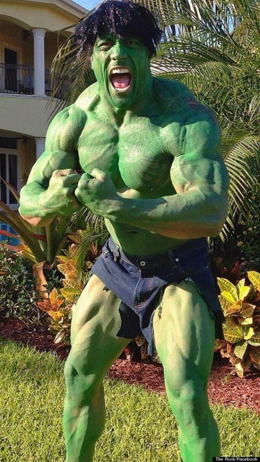 The Rock - En Hulk.