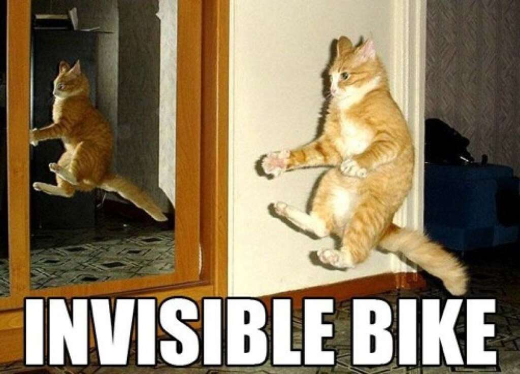 Le chat au vélo invisible - Les LOLcats aiment les objets invisibles! C'est une règle du genre.