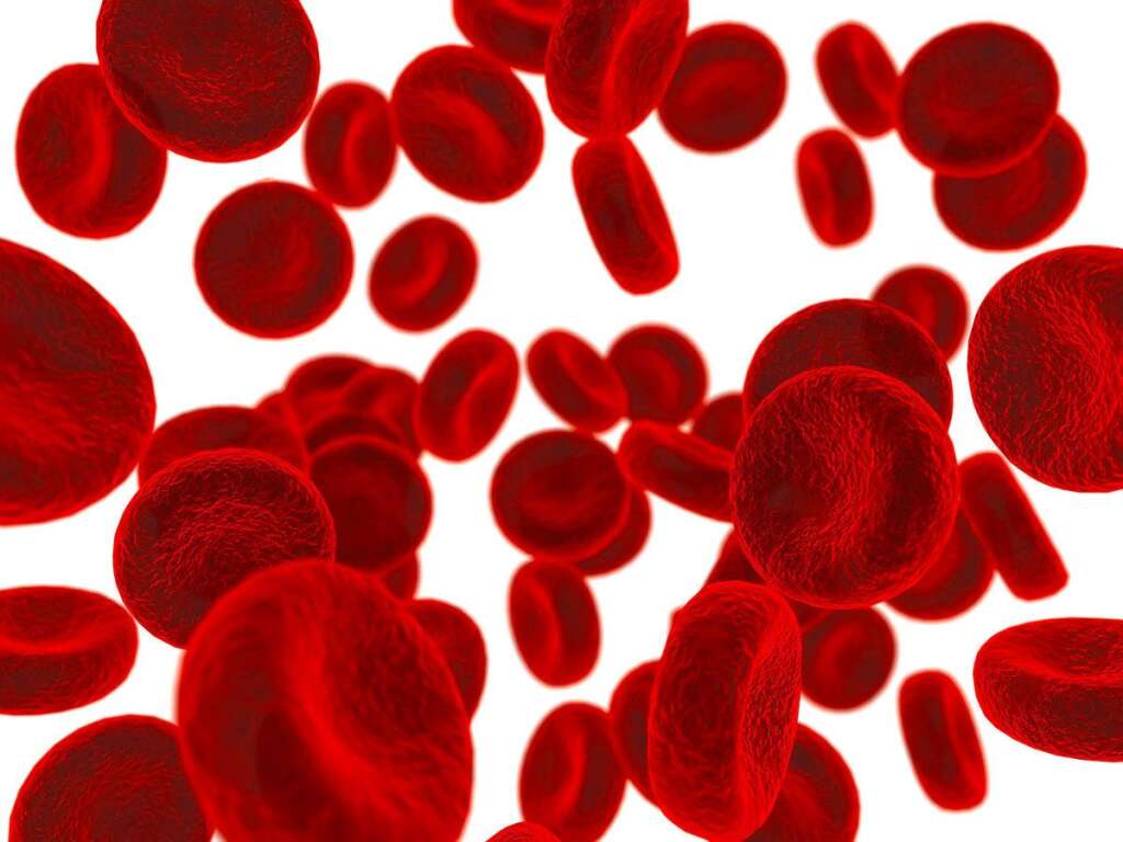 1930 : les groupes sanguins - Découverts en 1900 par Karl Landsteiner, les groupes sanguins ont permis de comprendre pourquoi certaines transfusions sanguines fonctionnaient alors que d'autres pas. Depuis, chaque fois que vous donnez votre sang, les médecins classe votre sang en fonction de son groupe. De la même manière, si l'on doit vous transfuser du sang, on veillera à vous donner du sang du même groupe, à moins que votre sang n'appartienne au groupe O, qui est universel.