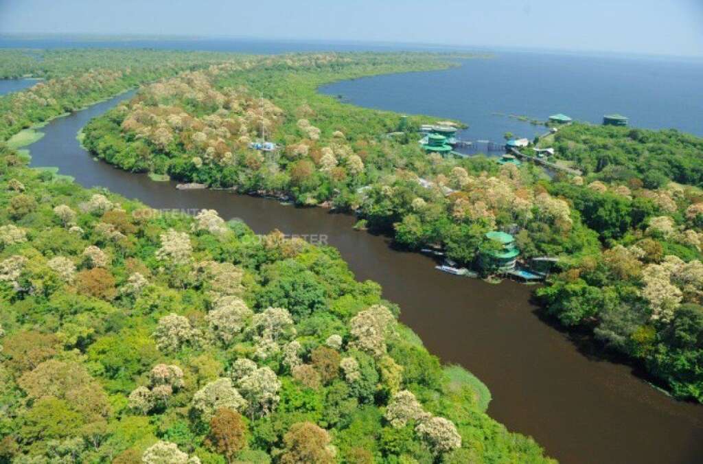 Dans les arbres - Ariau Amazon Towers (Iranduba, Brésil)