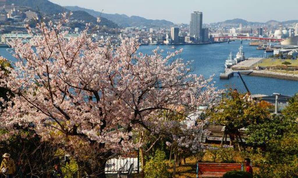 Japon - Cerisiers en fleurs lors du « hanami » dans le port de Nagasaki, île de Kyushu