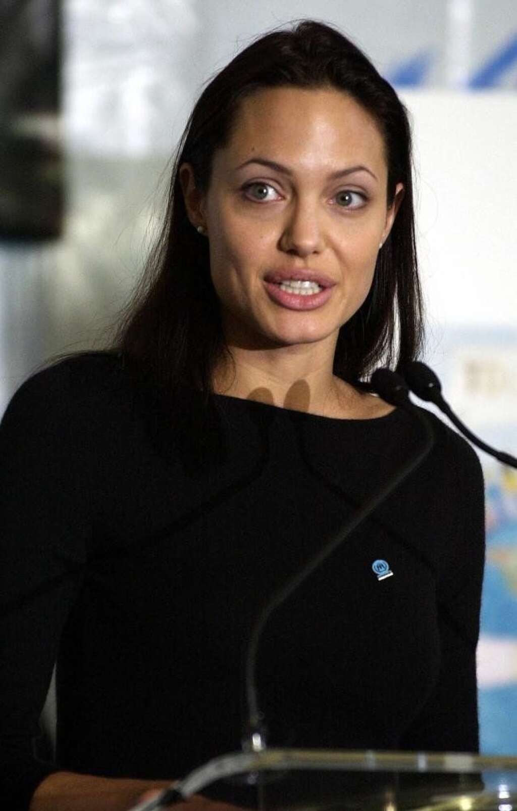 En 2002 elle délivre un discours à l'ONU pour la Journée Internationale des Réfugiés -
