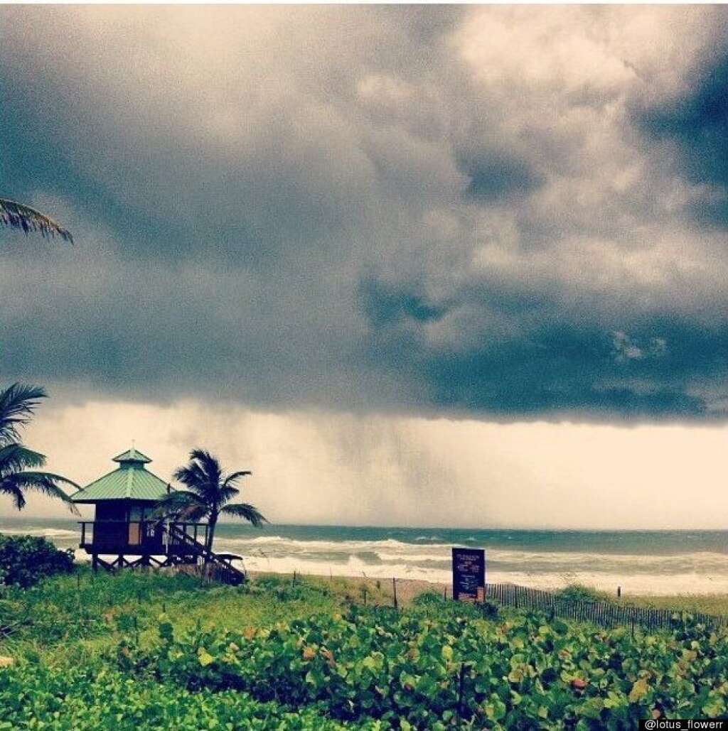 - Boca Raton, Fl. (CREDIT: Instagram user @lotus_flowerr)