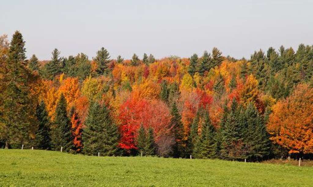 - Canada : couleurs d’automne, dans les Cantons de l’Est, au Québec.