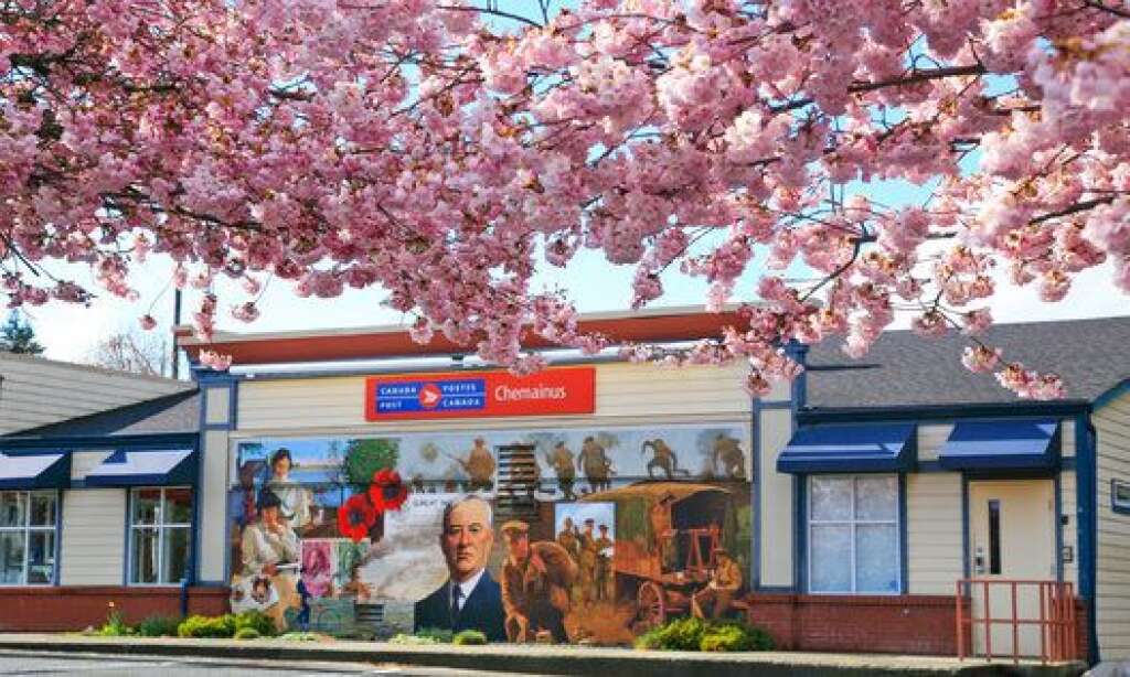 - Canada : arbres en fleurs et peintures murales dans le village de Chemainus, dans l’île de Vancouver