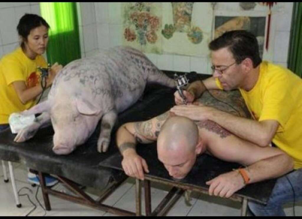 Tim , 2006 - L'artiste flamand Wym Delvoye tatoue Tim Steiner en 2006 avant de le vendre 150 000 euros à la foire d'art contemporain de Shanghai comme une oeuvre d'art. Depuis l'homme se produit régulièrement dans les manifestations d'Art en exhibant son dos.