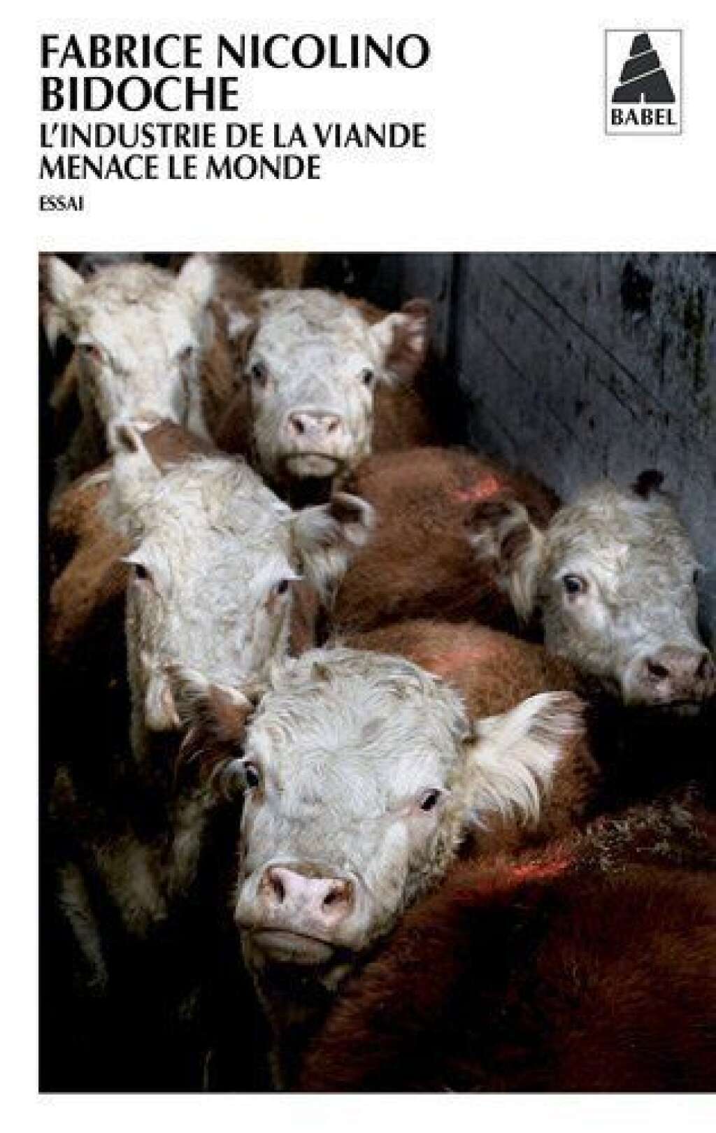 Bidoche - <em></em>Une enquête sur les conséquences de l'industrie de la viande sur l'environnement.