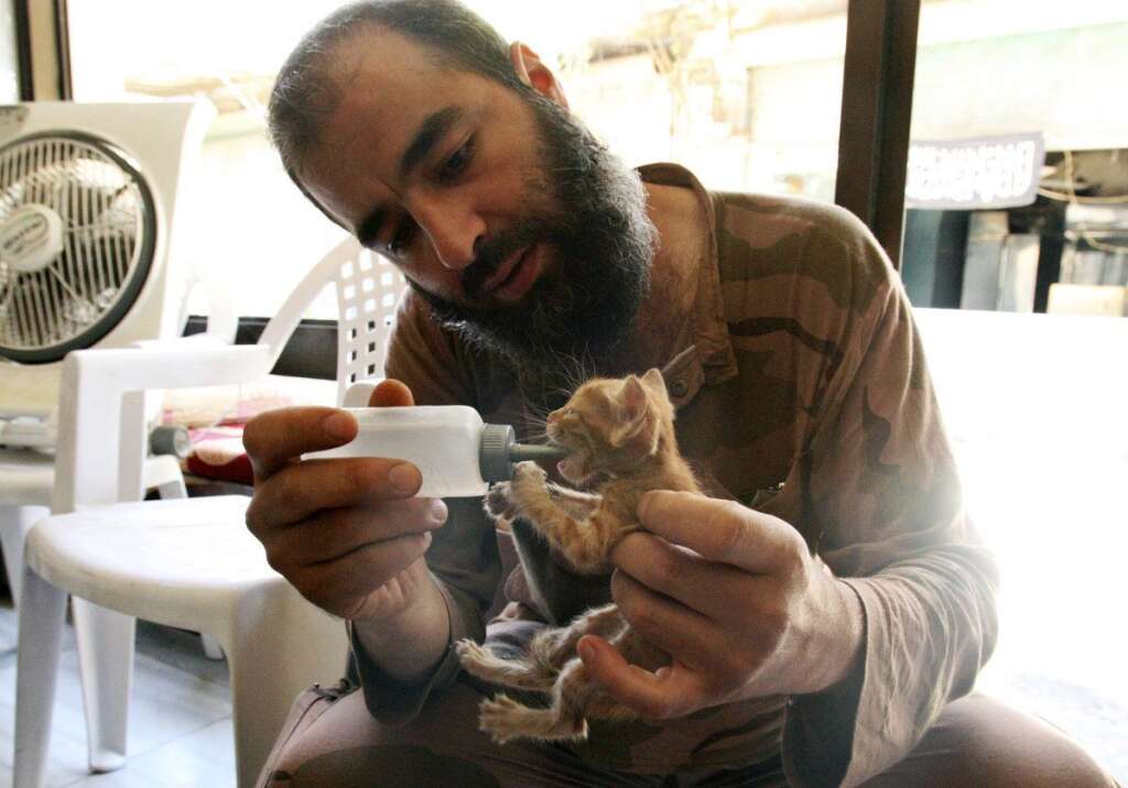 - Un combattant de l'Armée syrienne libre donnant à manger à un chaton à Alep, le 27 août 2013.