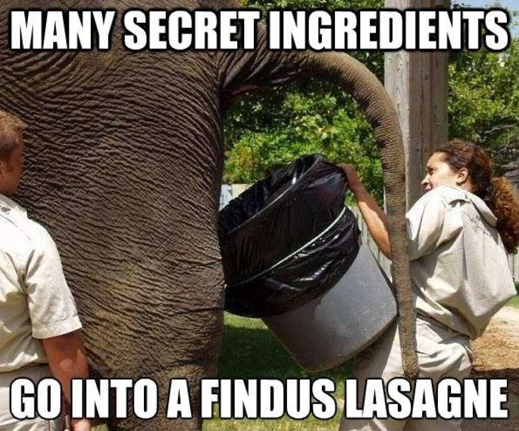 Findus Virals - "De nombreux ingrédients secrets dans les lasagnes Findus"