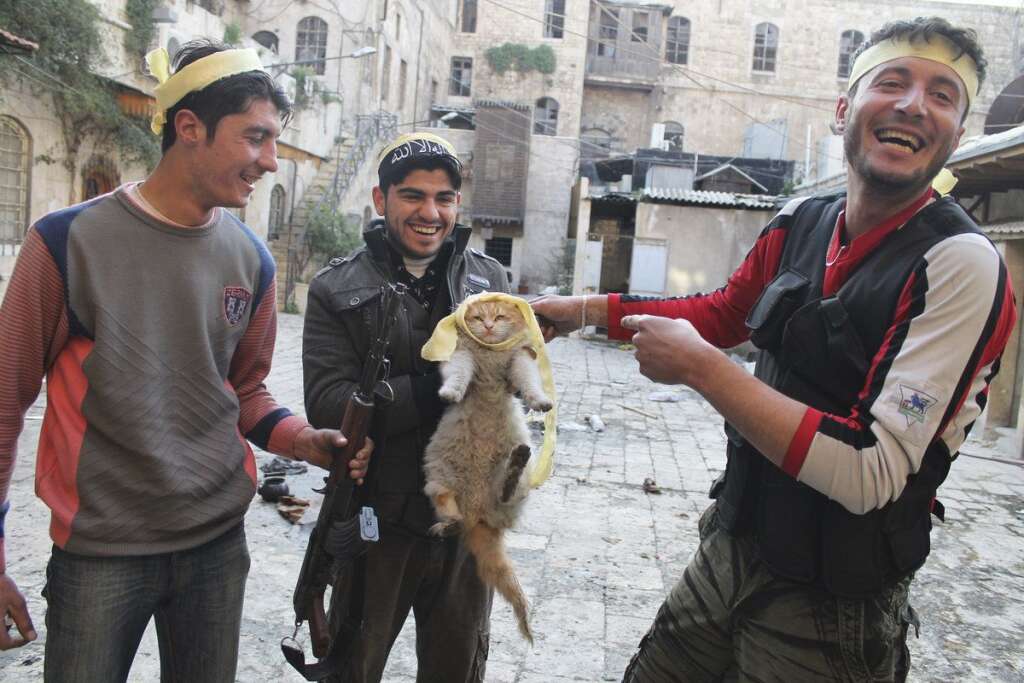 - Des combattant s'amusent avec un chat et lui mettent un bandeau. Une photo prise le 2 mars 2013, dans la vieille ville d'Alep.
