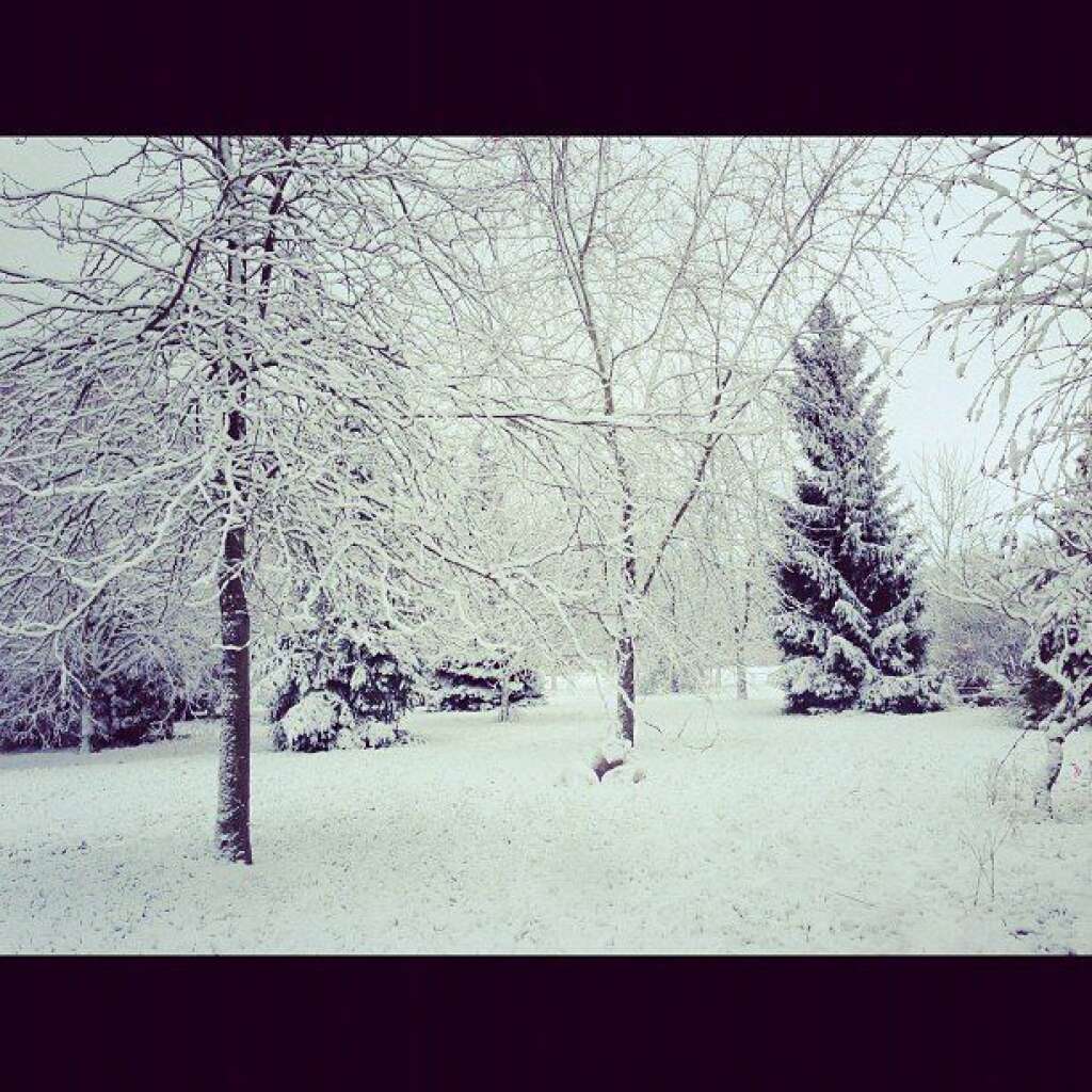 #neige #hiver #froid #instacool #instagood #instagram #good #cool -
