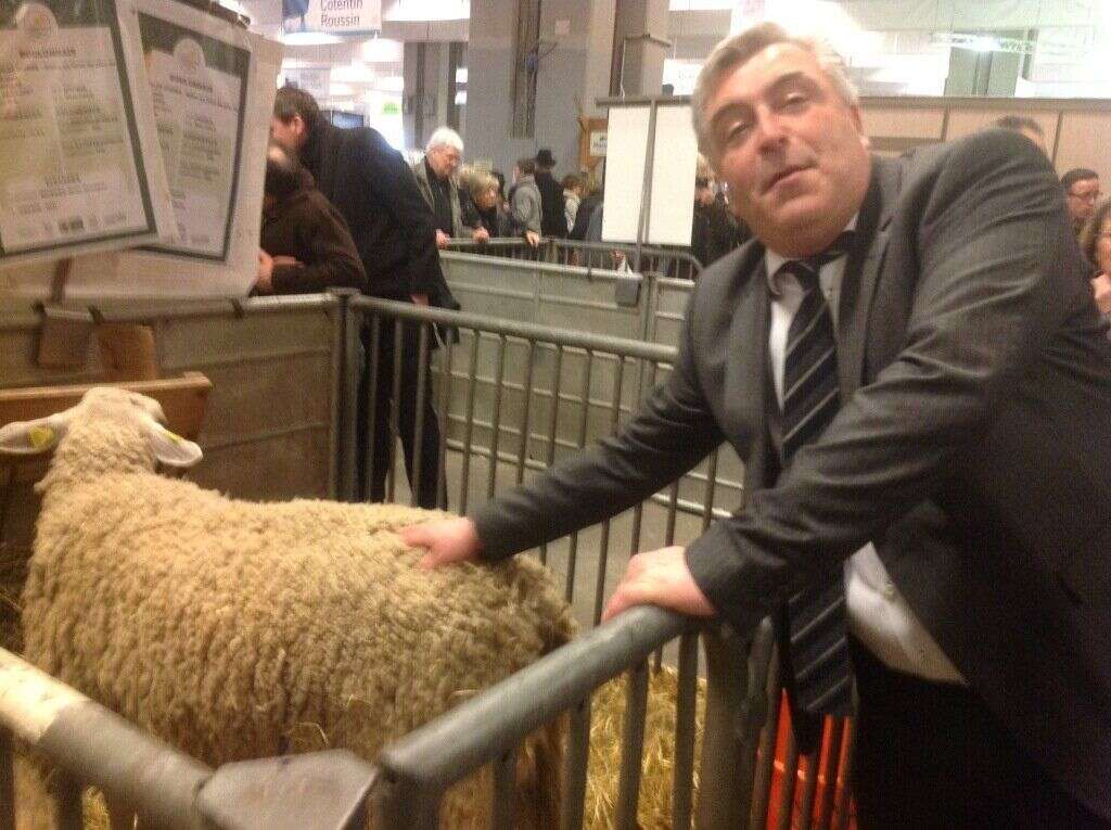 Frédéric Cuvillier, Ministre des transports, de la mer et de la pêche - Certains politiques tapent le cul des vaches, Frédéric Cuvilier, lui, préfèrent les moutons.  <blockquote class="twitter-tweet"><p>Visite du salon de l'agriculture <a href="https://twitter.com/search/%23SIA2013">#SIA2013</a> et contact avec des <a href="https://twitter.com/search/%23moutons">#moutons</a> <a href="https://twitter.com/search/%23boulonnais">#boulonnais</a>. <a href="http://t.co/PS1srjsCGY" title="http://twitter.com/fcuvillier/status/307088089464053761/photo/1">twitter.com/fcuvillier/sta…</a></p>— Frédéric Cuvillier (@fcuvillier) <a href="https://twitter.com/fcuvillier/status/307088089464053761">February 28, 2013</a></blockquote> <script async src="//platform.twitter.com/widgets.js" charset="utf-8"></script>