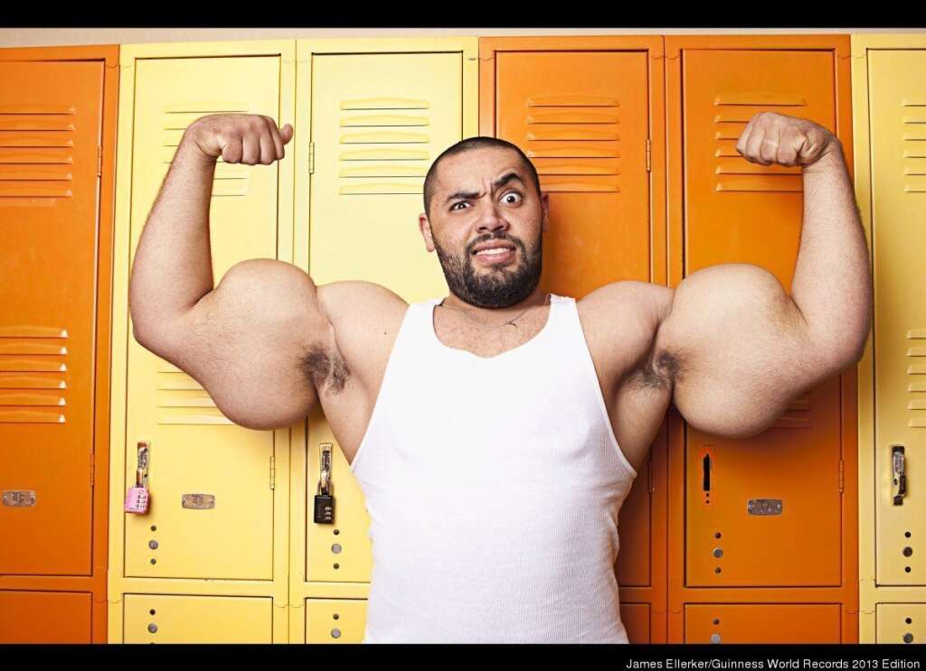 World's Largest Biceps - The largest male bicep belongs to Mostafa Ismail of Egypt. His left arm measures 25.5 inches when flexed and 24.5 inches when non-flexed.