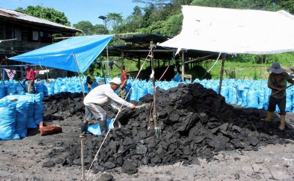 4. L'exploitation du charbon en Indonésie -