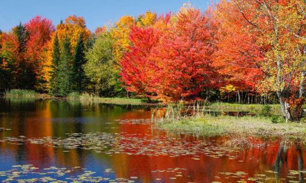 - Canada : couleurs de l’automne sur un petit lac du village de Bissonette, dans les Cantons de l’Est, au Québec