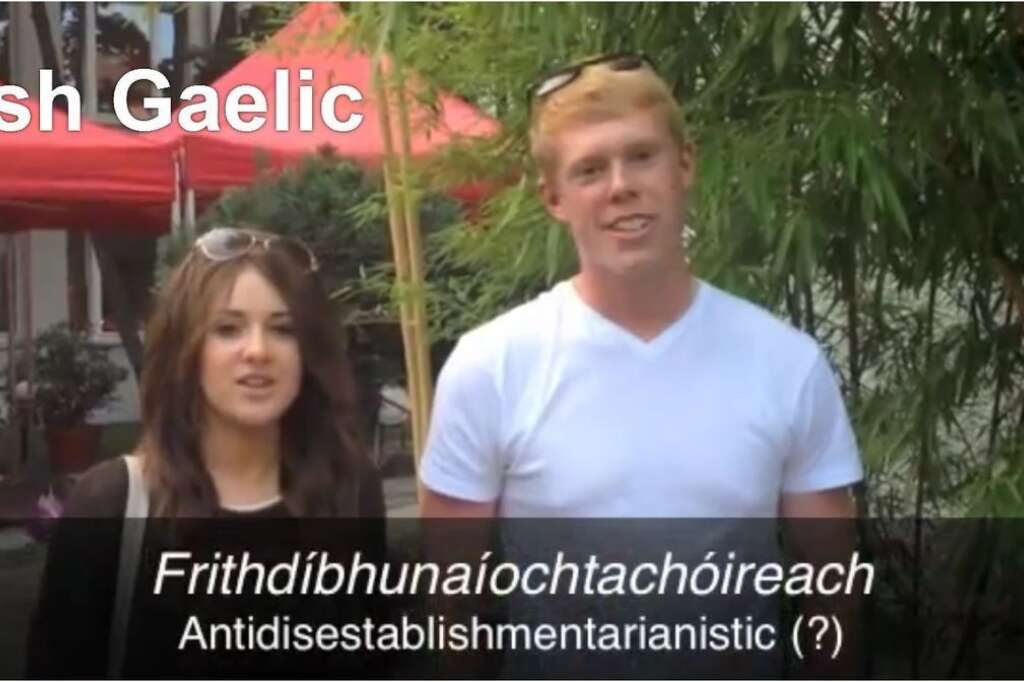 Gaélique irlandais - Frithdíbhunaíochtachóireach (27 lettres) "<a href="http://fr.wiktionary.org/wiki/antidisestablishmentarianism" target="_blank">Antidisestablishmentarianism</a>"