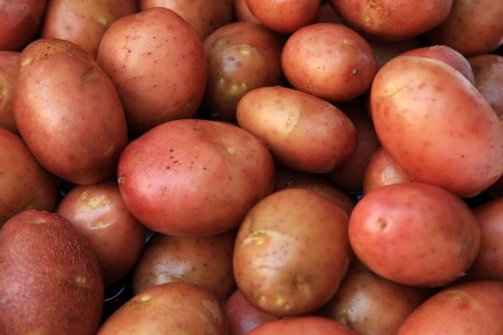 La patate chaude - Selon Jo Robinson, cuire ses pommes de terre la veille de leur consommation permettrait de réduire leur glycémie.