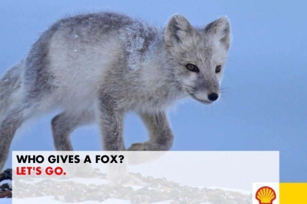 "On s'en fox" - jeu de mot avec renard - via arcticready.com/ soumis par Mike