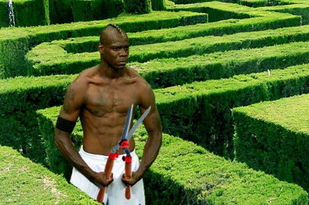 Mario le jardinier -