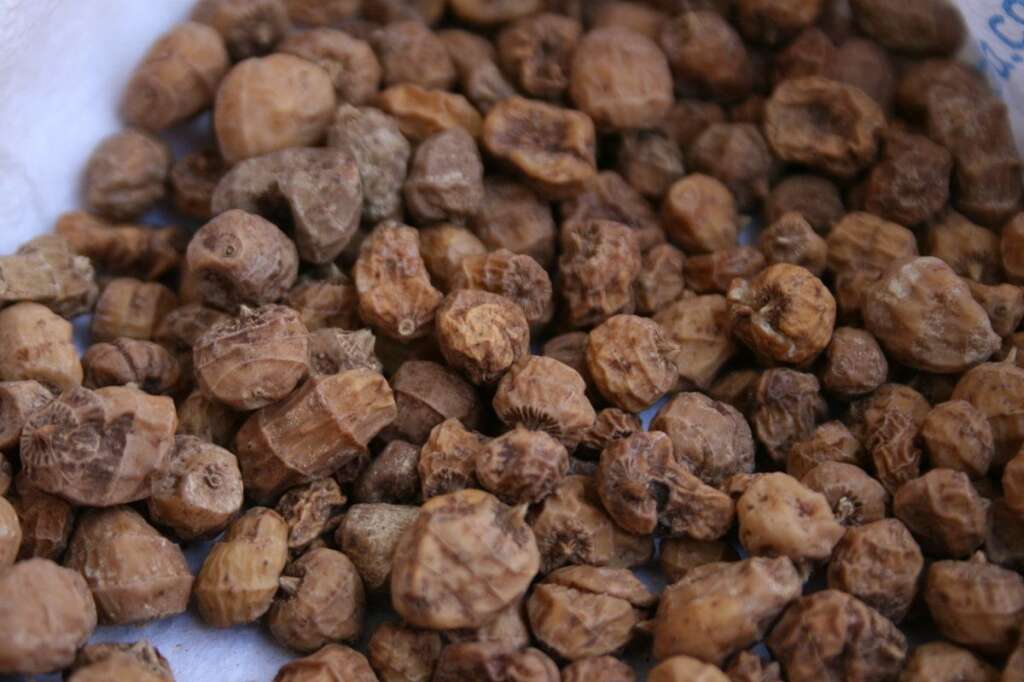 Les noix tigrées - Communément appelée "noix", ce tubercule est en fait la racine du souchet. Cultivée à l'origine dans l'ancienne Égypte, la plante est aujourd'hui populaire dans le bassin méditerranéen et plus particulièrement en Espagne.  Avant d'être dégustées, les noix tigrées sont généralement plongées dans l'eau chaude. En Espagne, elles sont utilisées pour faire de l'"horchata de chufa" (ou lait de souchet), une boisson très appréciée.