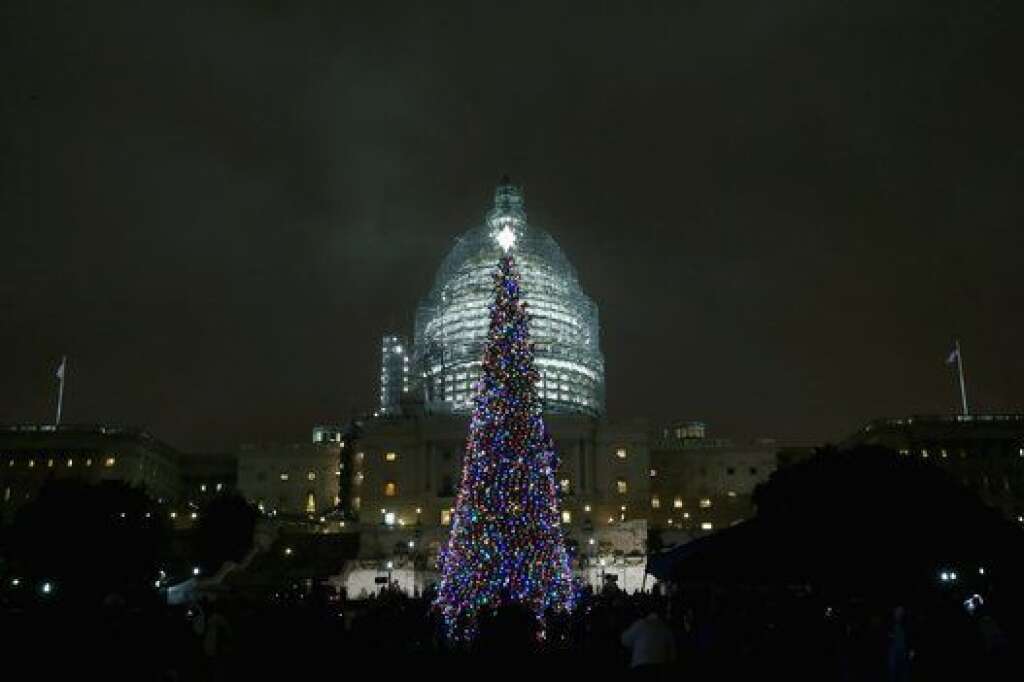 Washington D.C., Etats-Unis - Devant le Capitole, un arbre de Noël vieux de 90 ans, abattu dans la forêt national Chugach, en Alaska.