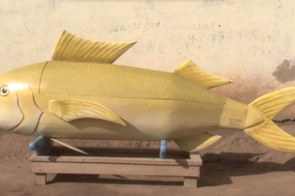 Des cercueils originaux - Un cercueil en forme de poisson