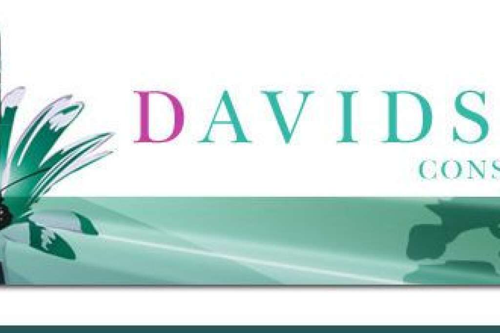 4. DAVIDSON CONSULTING -