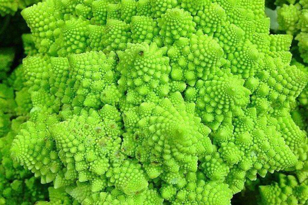 Le chou romanesco - Ce légume hypnotique est une variante du chou-fleur. Pour les fans de mathématiques, sa forme géométrique — dite fractale — est définie à partir du mot de Fibonacci.  En plus de ses propriétés visuelles, le chou romanesco est très bon pour la santé: il est rempli de vitamines C et K, de fibres et de caroténoïdes.