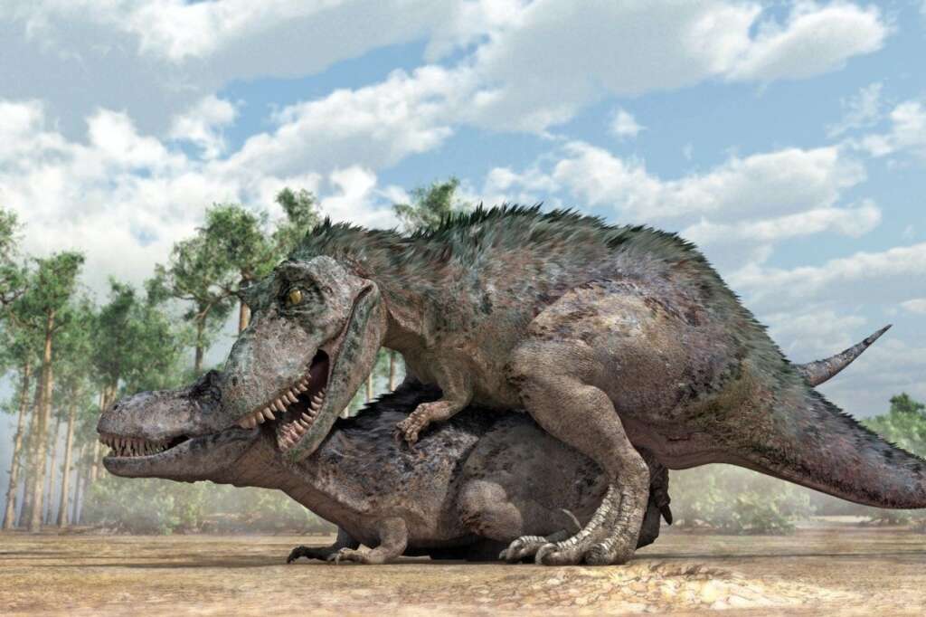 - Tyrannosaurus rex dinosaurs mating. (Jose Antonio Penas, Science Photo Library)