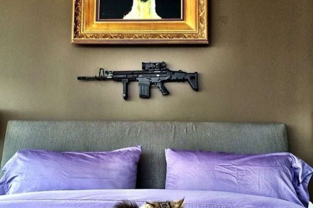 ... un chat et un portrait de chèvre au dans la chambre à coucher - (sans parler de l'arme)