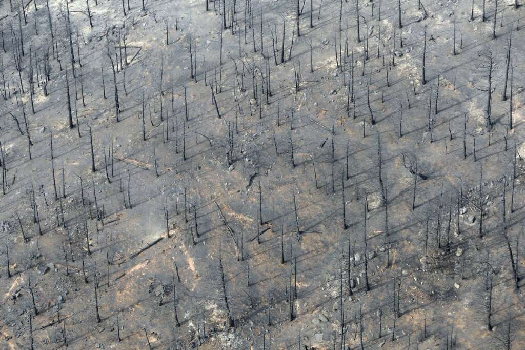 This aerial photo shows the destructive path of the Waldo Canyon fire in the Mountain Shadows subdivision area of Colorado Springs, Colo., Thursday, June 28, 2012. Colorado Springs officials said Thursday that hundreds of homes have been destroyed by the raging wildfire. (AP Photo/Denver Post, RJ Sangosti)