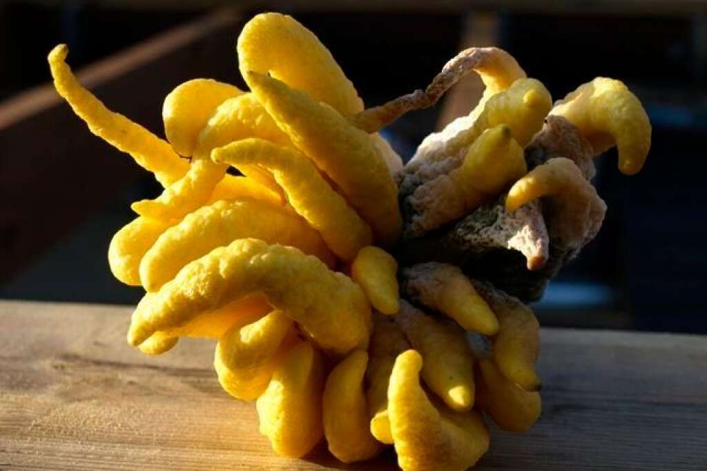 La main de Bouddha - Ce fruit original est une variété de cédrat. Il a un goût citronné mais sa texture ne ressemble pas à la pulpe des fruits de la famille des Citrus.  Bourrée de vitamine C, la main de Bouddha a une peau très appréciée pour son zeste, bien plus parfumé que celui d'autres agrumes.