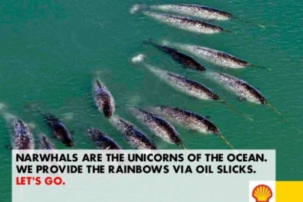 "Les narvals sont les licornes de l'océan, nous fournissons les arcs-en-ciel avec les marées noires." - via arcticready.com/ soumis par Asher Platts